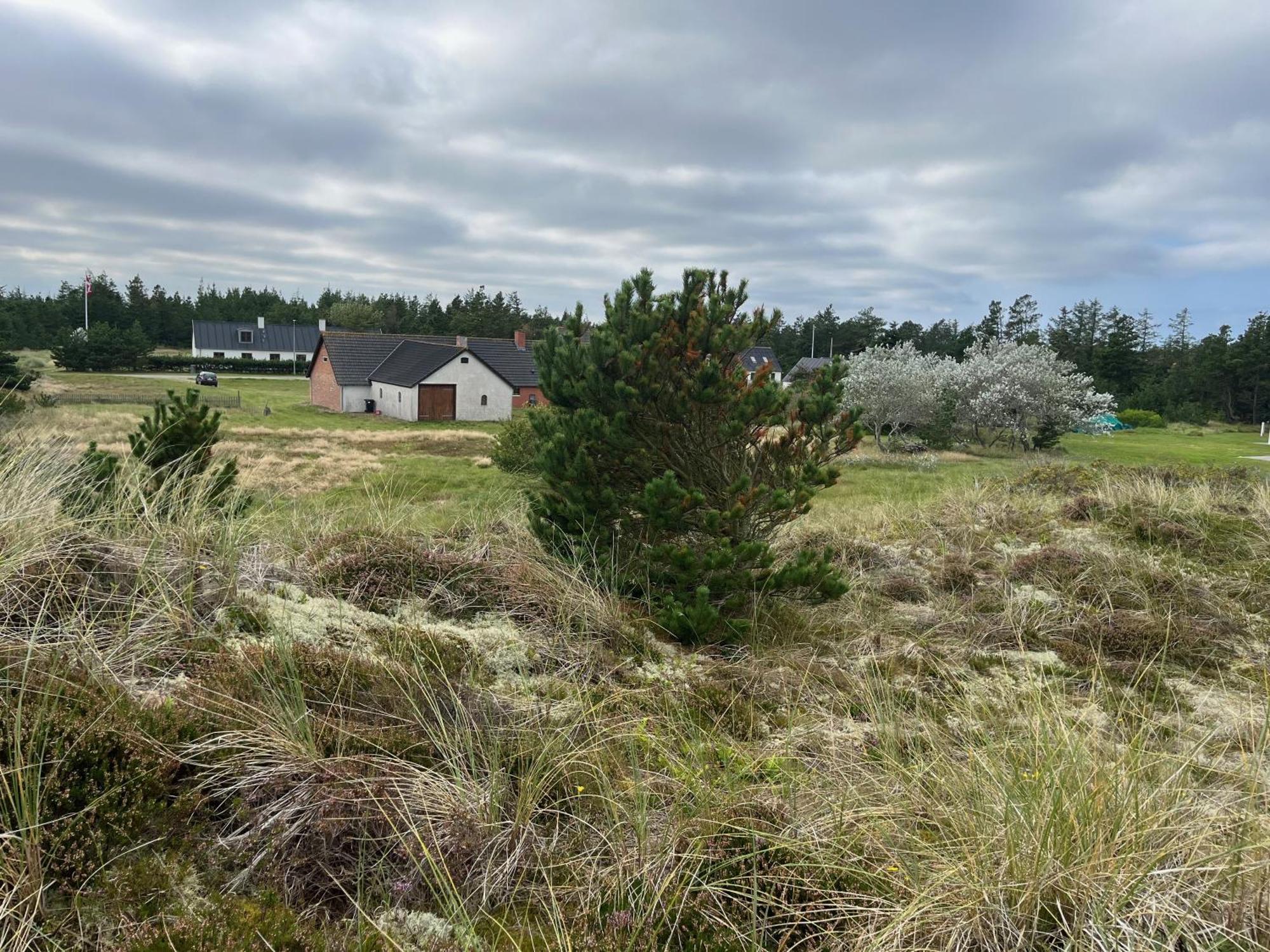 The Beach Farm - Charm, Beach And Stunning Nature Bedsted Thy Екстер'єр фото